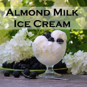 Almond Milk Ice Cream