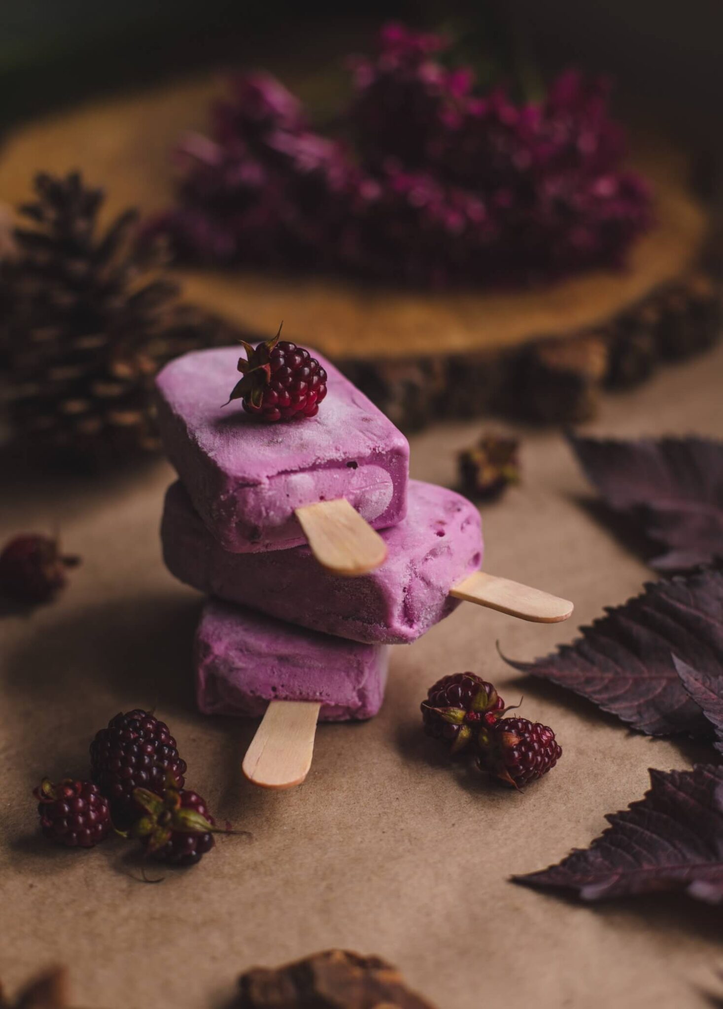 Blackberry Ice Cream Recipe Serving Ice Cream
