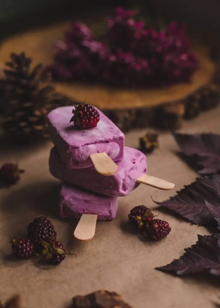 Blackberry Ice Cream Recipe