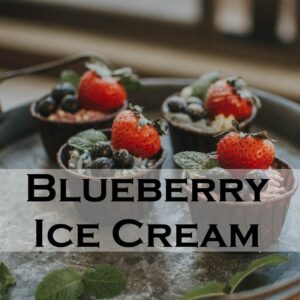 Blueberry Ice Cream