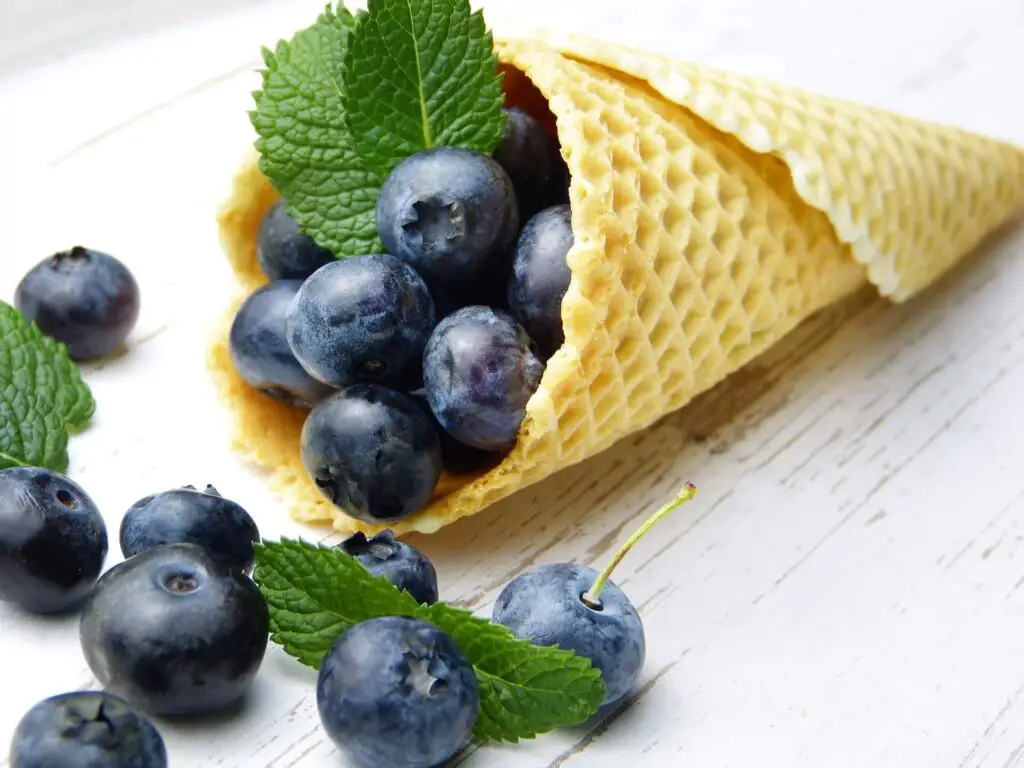 Blueberry Ice Cream Recipe