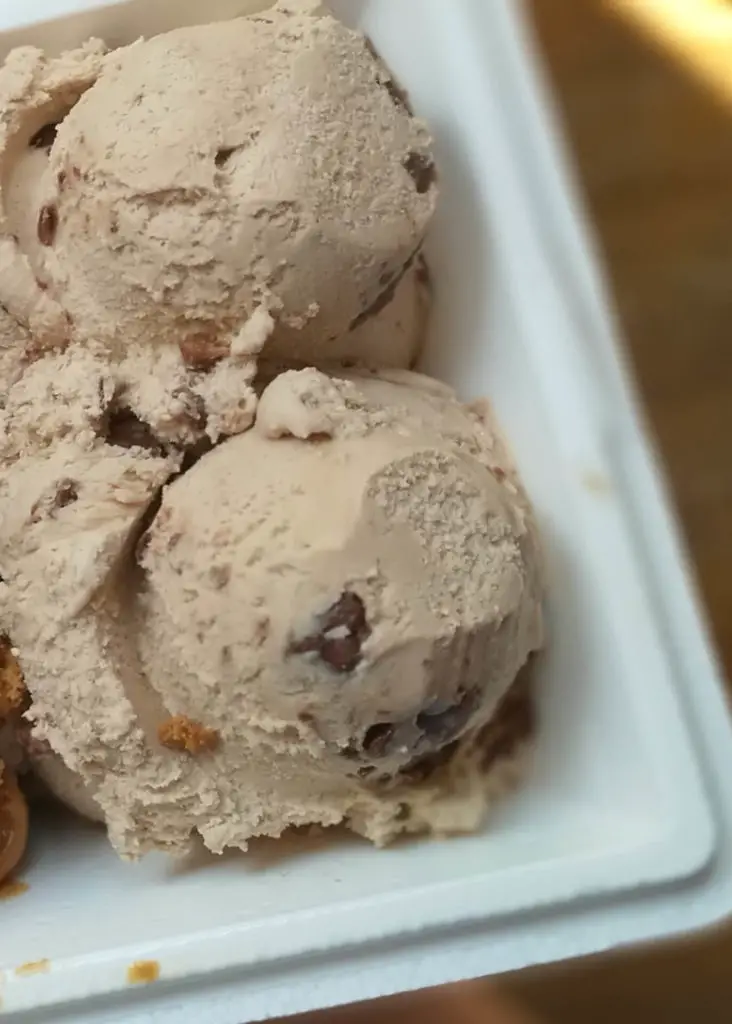 Chocolate Chip Cookie Dough Ice Cream