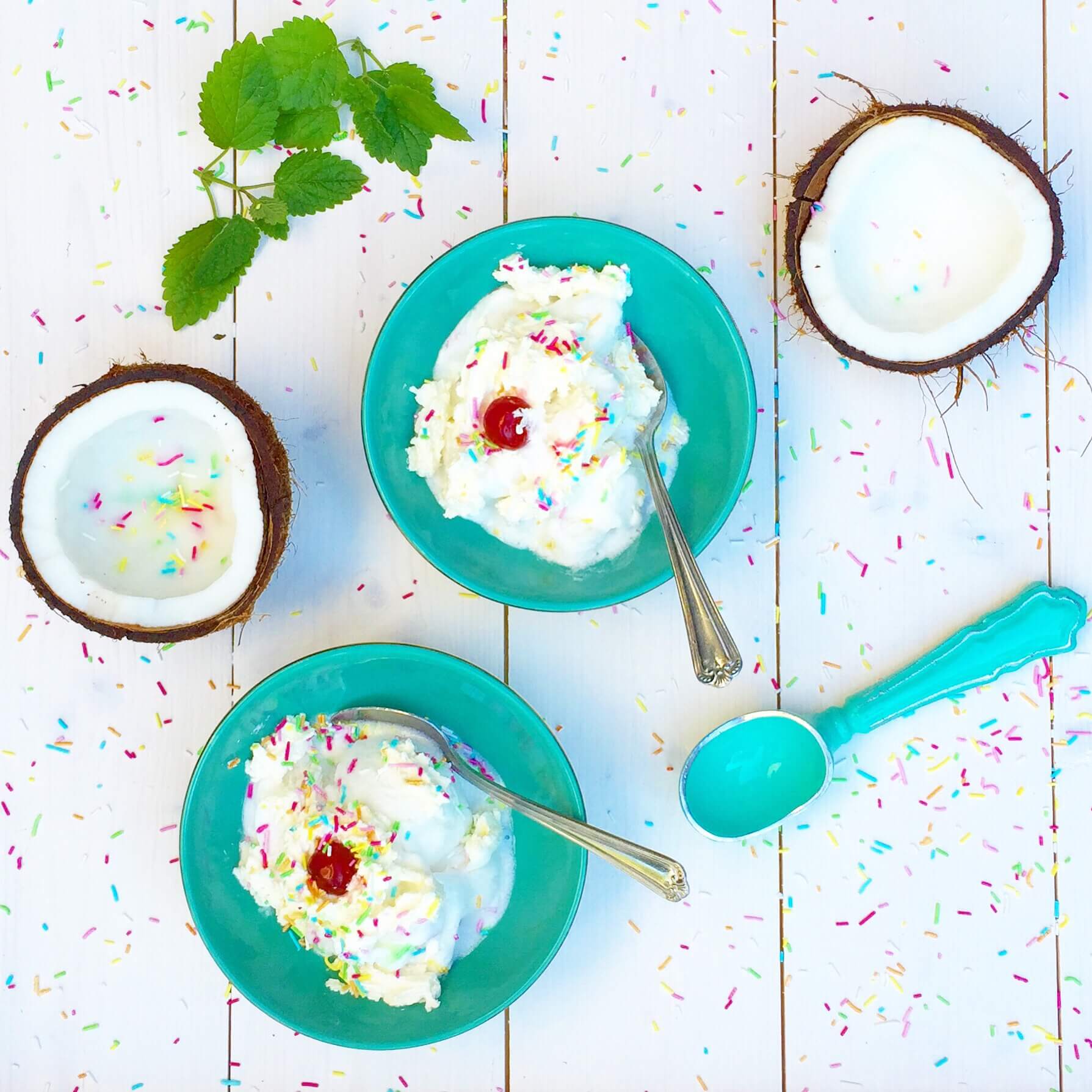 Coconut Milk Ice Cream Serving Ice Cream