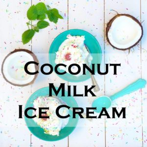 CoconutMilkIceCreamRecipe