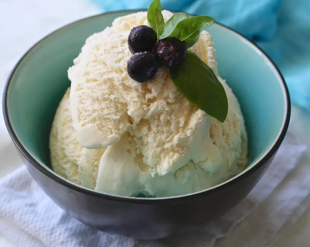 Easy Coconut Ice Cream Recipe