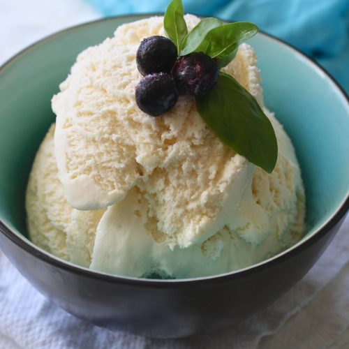 Coconut Ice Cream Recipe Serving Ice Cream