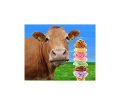 the ice cream cow