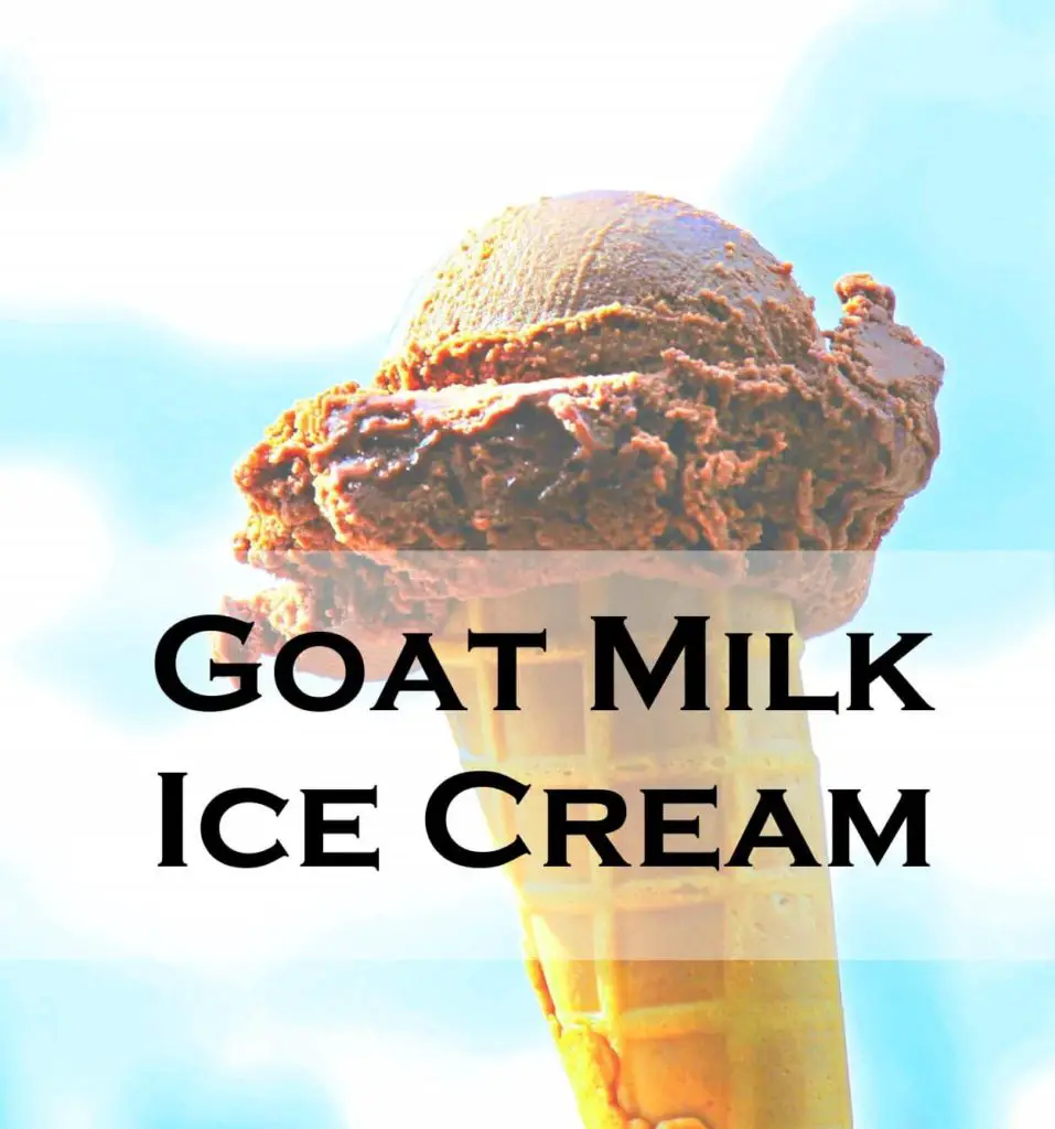Chocolate Goat Milk Ice Cream Recipe Serving Ice Cream