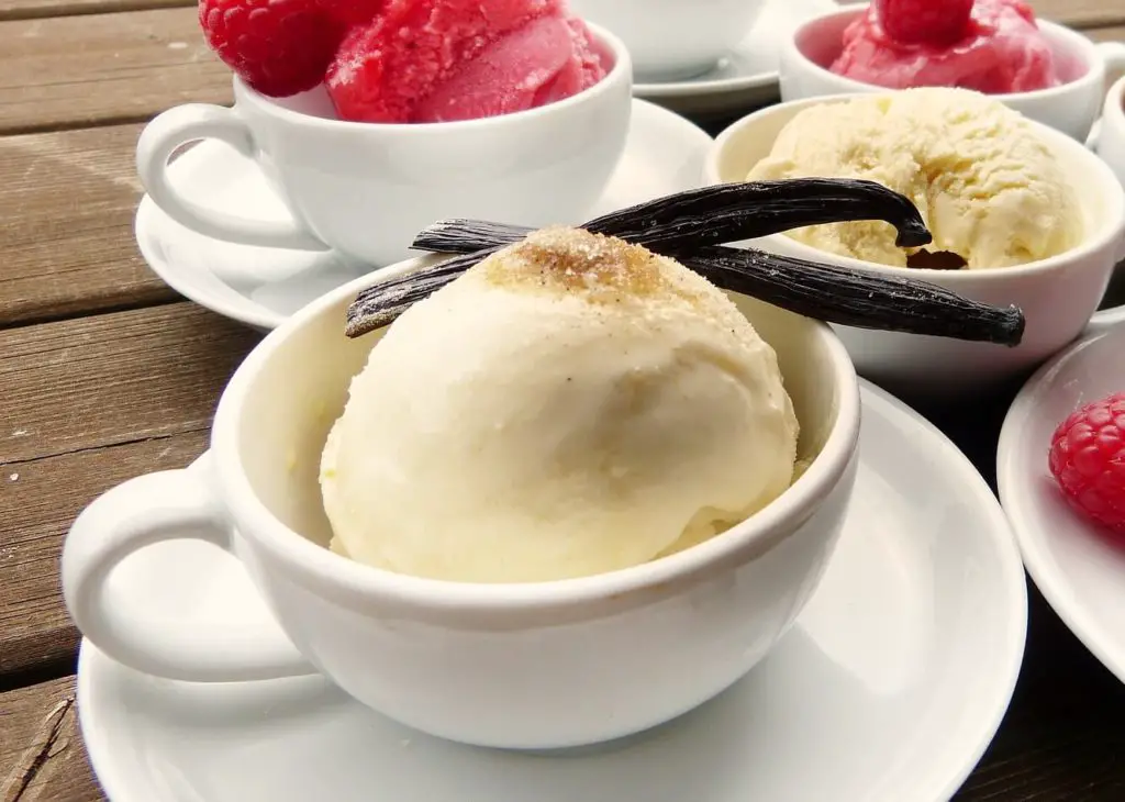 Easy Homemade Coconut Ice Cream Recipe