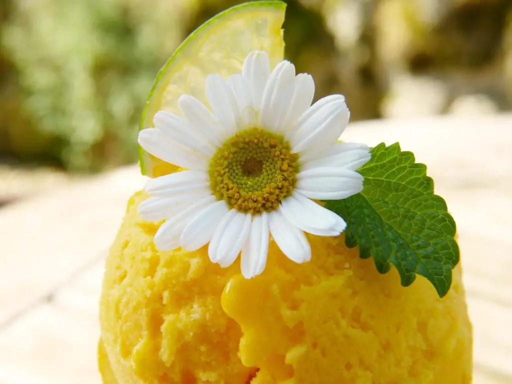 Easy Mango Ice Cream Recipe