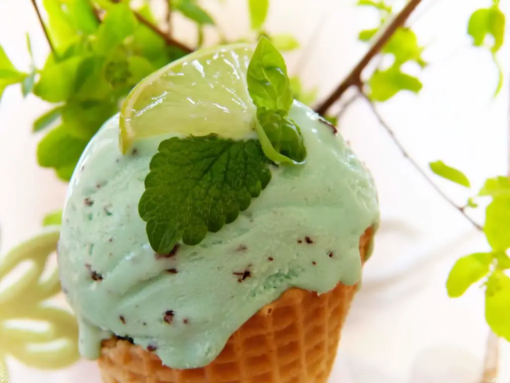 Easy Mint Chocolate Chip Ice Cream