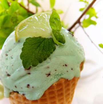 EasyMintChocolateChipIceCream