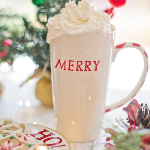 Egg Nog Ice Cream Recipe Serving Ice Cream