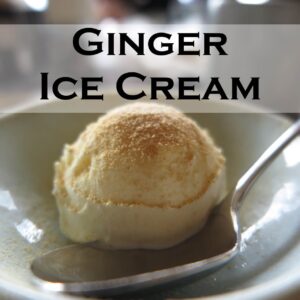 Ginger Ice Cream