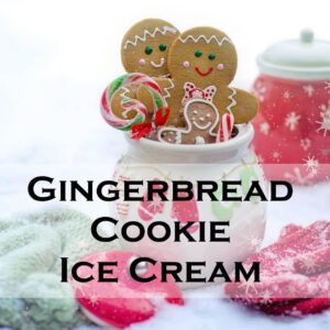 Gingerbread Cookie Ice Cream