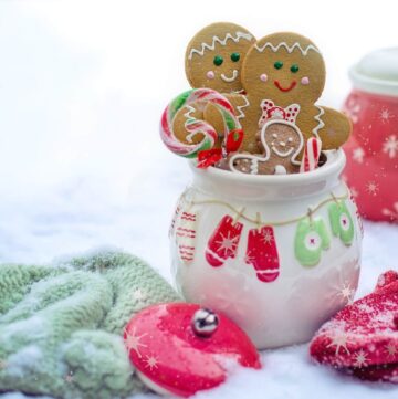 GingerbreadCookieIceCreamRecipe