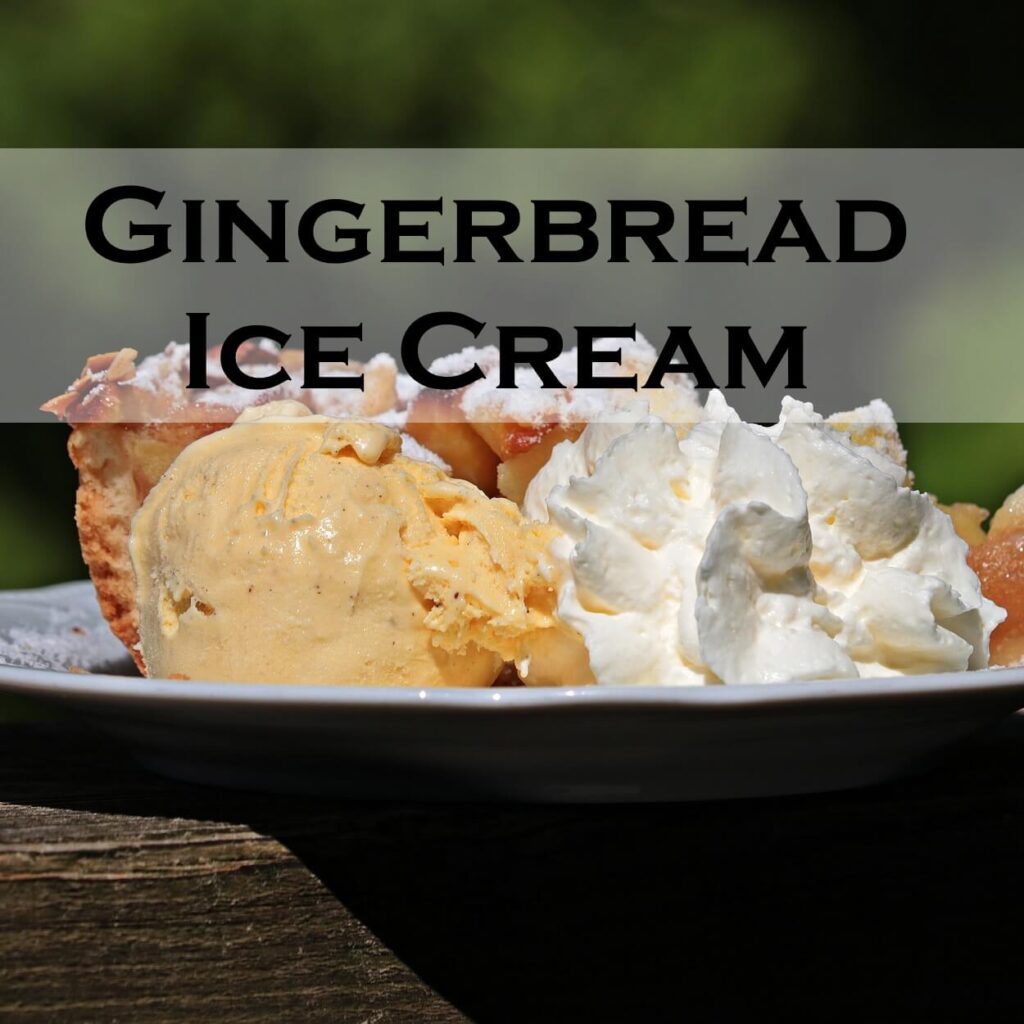 Gingerbread Ice Cream Recipe Serving Ice Cream