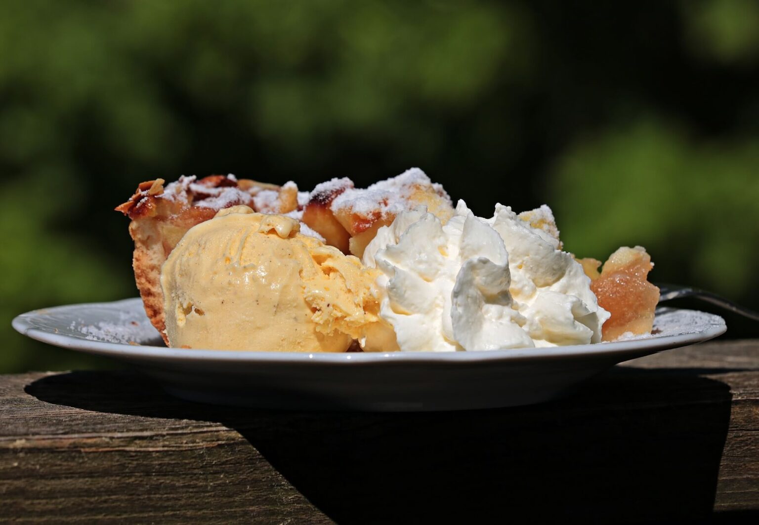 Gingerbread Ice Cream Recipe Serving Ice Cream