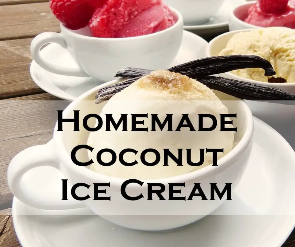 Homemade Coconut Ice Cream Recipe Serving Ice Cream