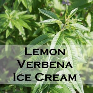 Lemon Verbena Ice Cream