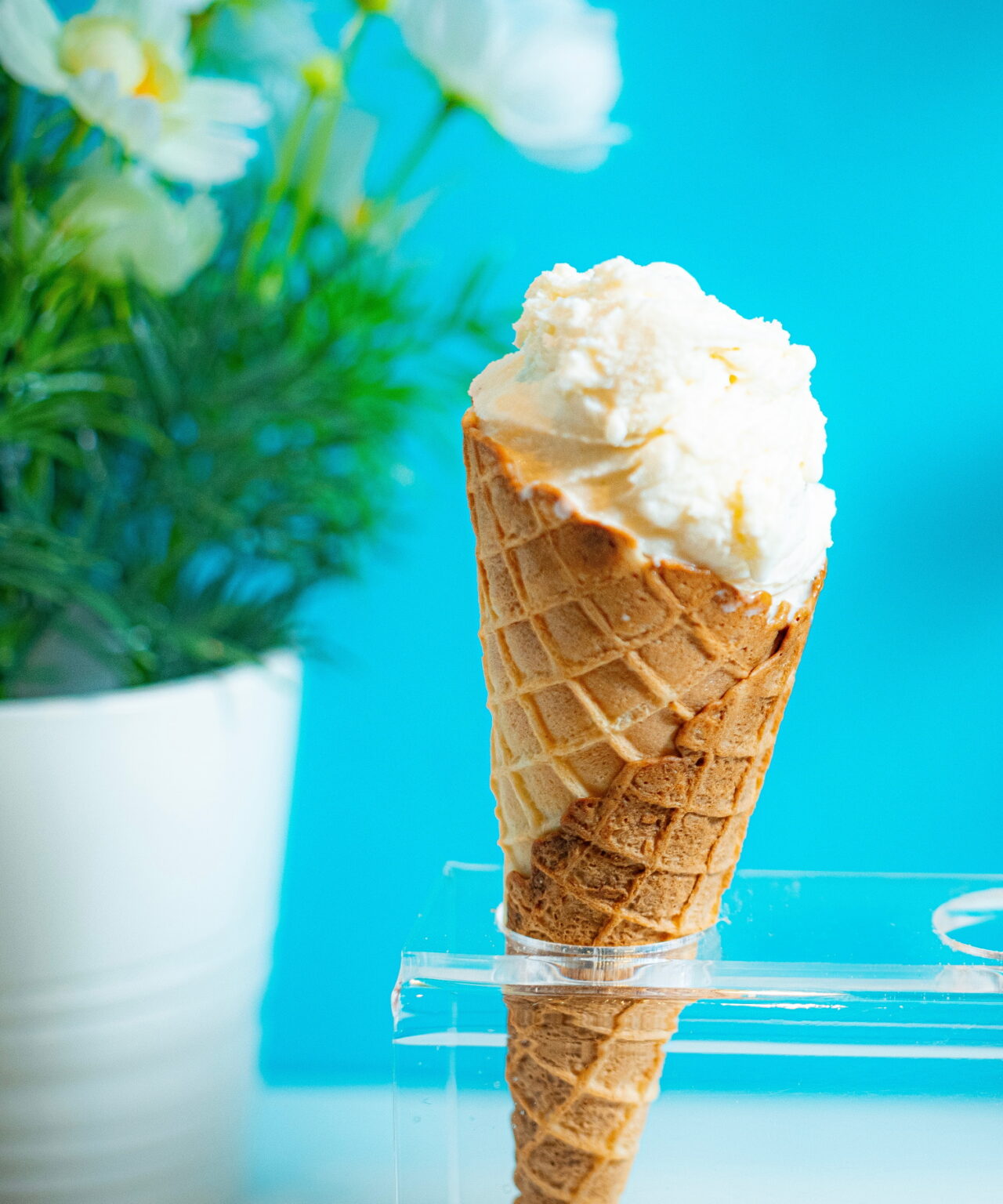 Lime Ice Cream Recipe Serving Ice Cream