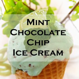 Mint Chocolate Chip Ice Cream