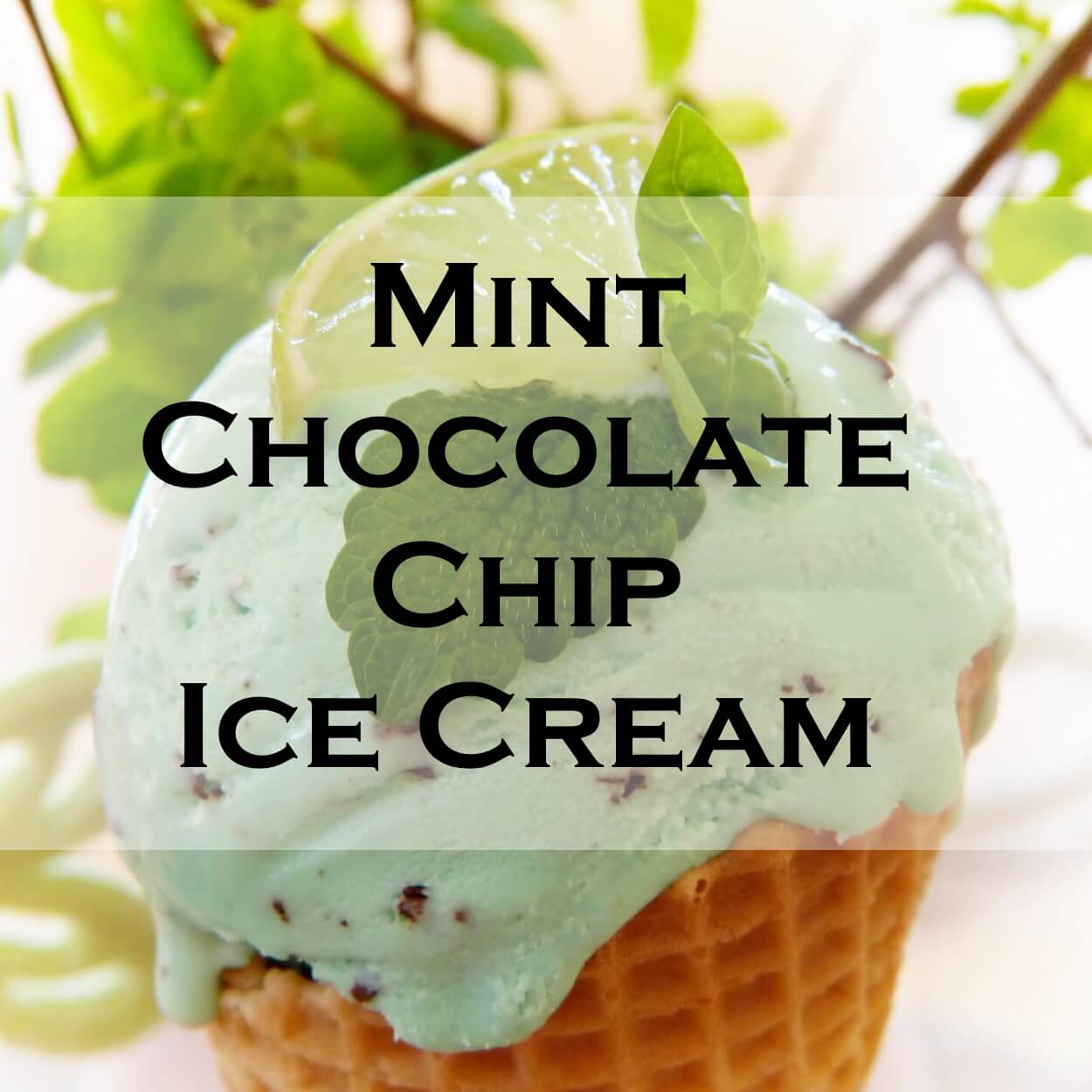 Mint Chocolate Chip Whynter Ice Cream Maker Recipes