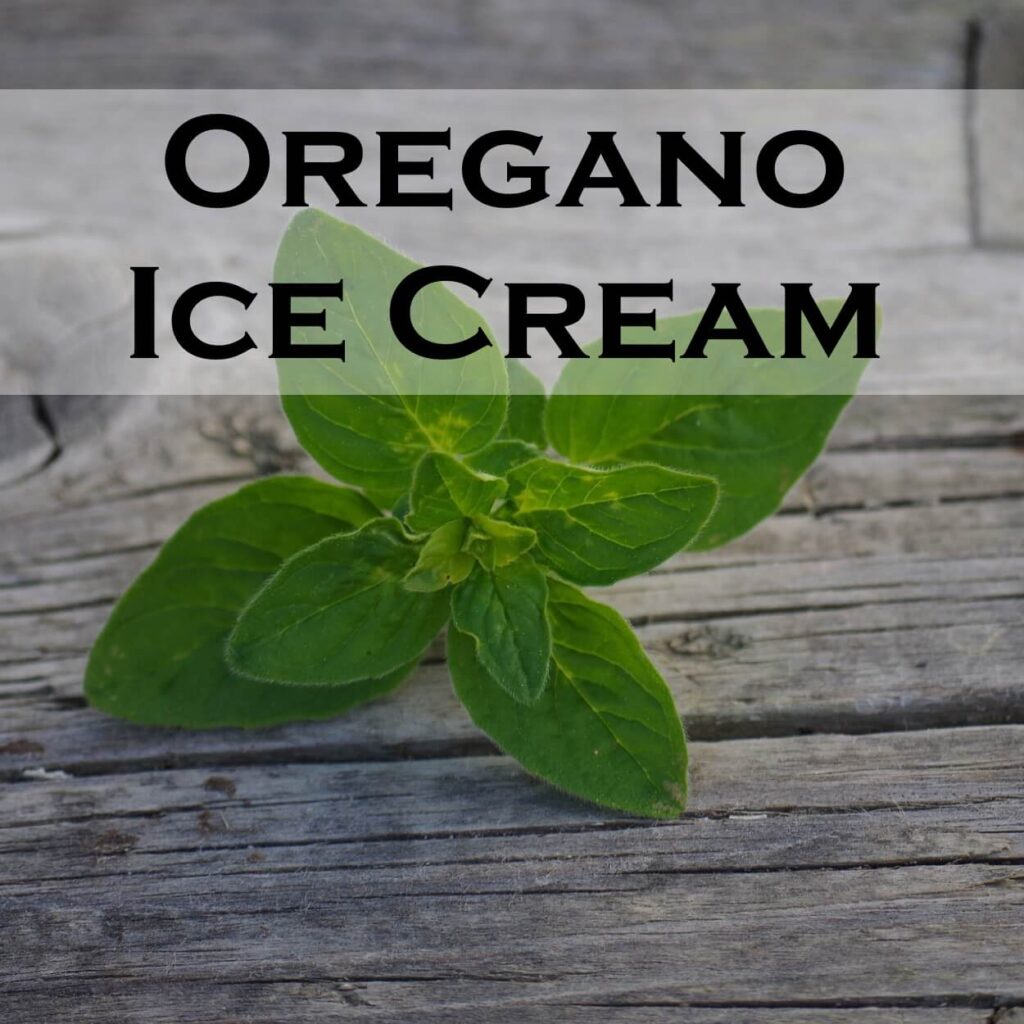 Oregano Ice Cream Recipe Serving Ice Cream