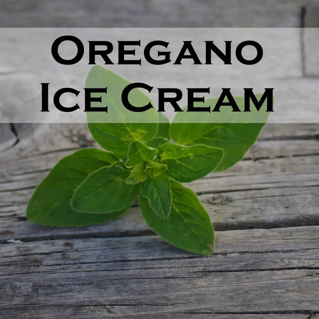 Oregano Ice Cream
