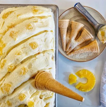 PineappleCoconutIceCreamRecipe