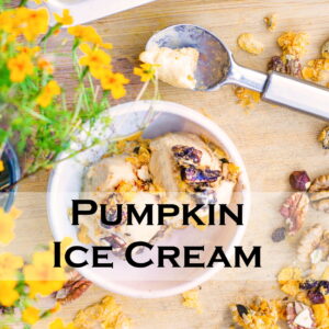 Pumpkin Ice Cream