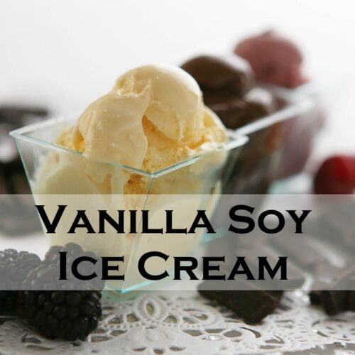 Vanilla Soy Ice Cream Recipe Serving Ice Cream