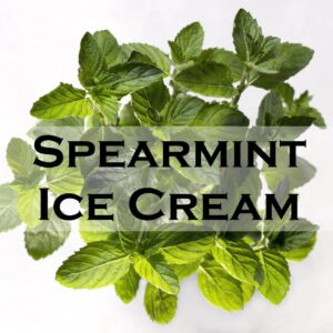 SpearmintIceCream 1