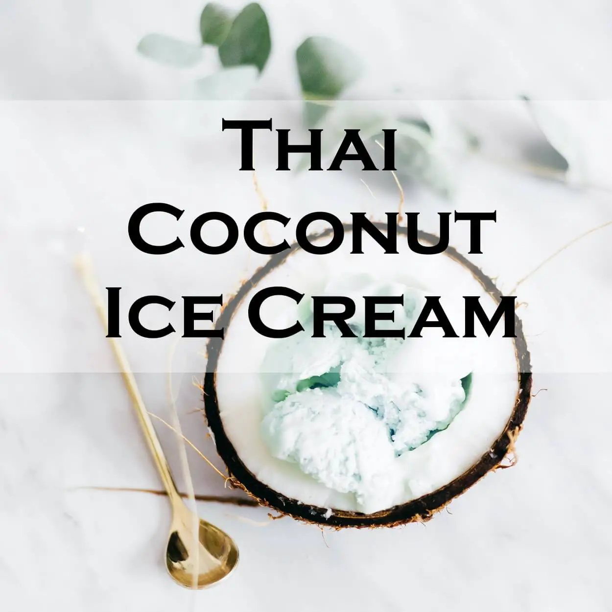 Thai Coconut Ice Cream