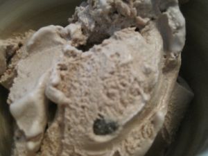 chocolate goat milk ice cream