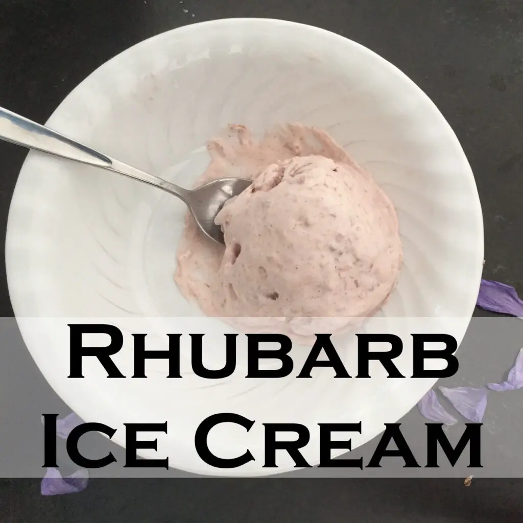 Rhubarb Ice Cream Recipe