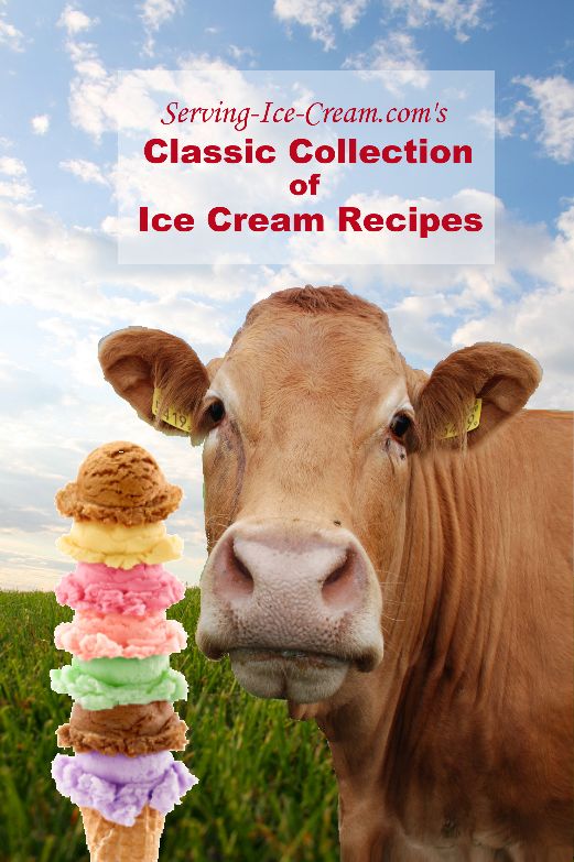 ice cream recipe book