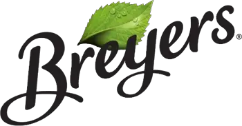 top 10 brands Breyers