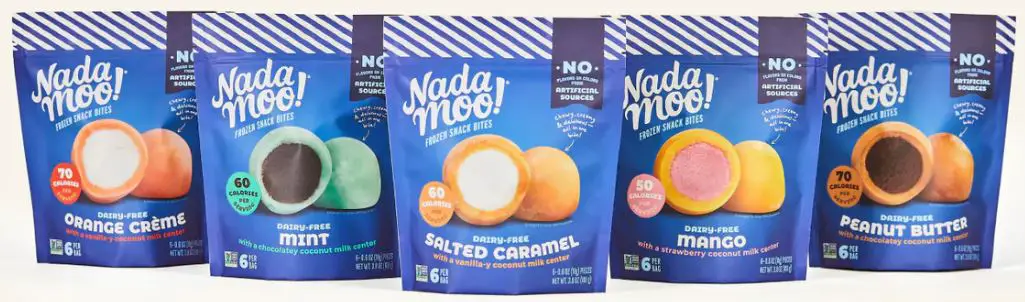 vegan ice cream brand nadamoo